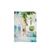 Aqua Lily Body & Soul Gift Set
